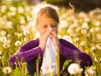 Säsong för allergi: lindra familjens besvär